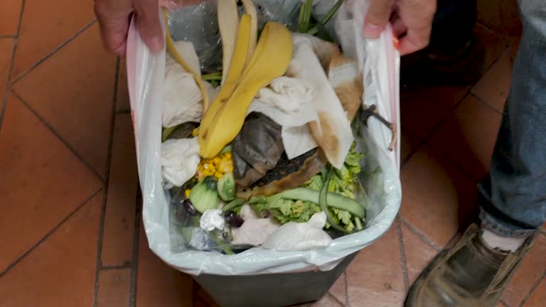 Reliable Dilworth, MN Junk Removal Services Solutions
